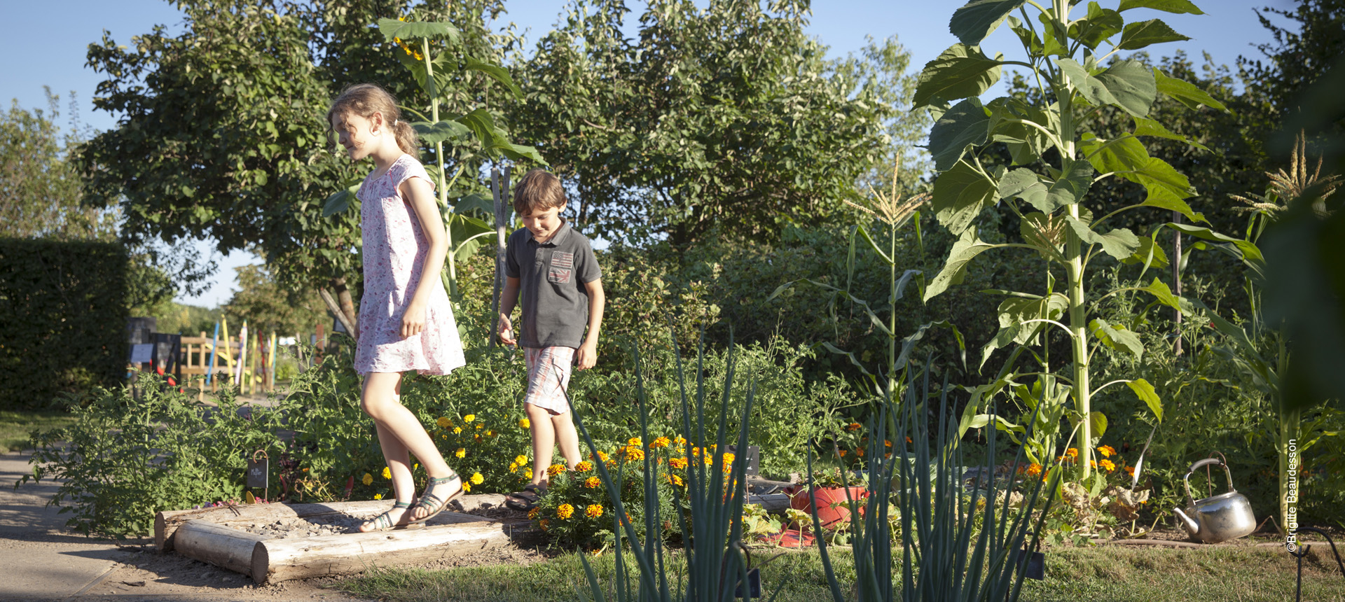 enfants au jardin colette brive